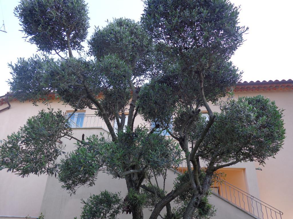 Appartement Villa Angelina Grimaud Exteriör bild