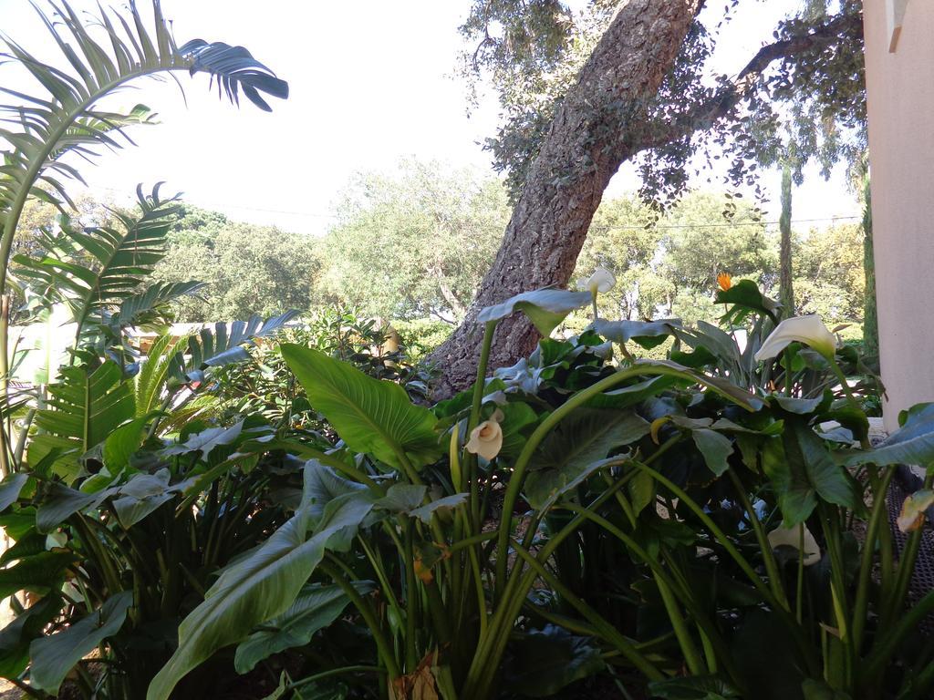 Appartement Villa Angelina Grimaud Exteriör bild